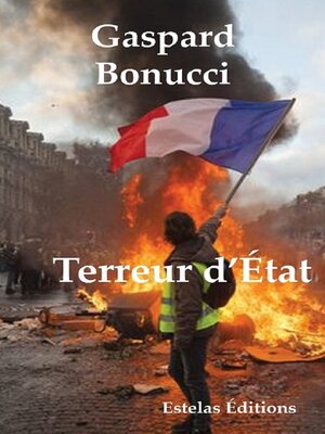 cover image of Terreur d'État